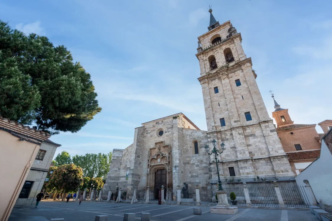 La Catedral Magistral
